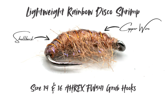 The Rainbow Disco Shrimp