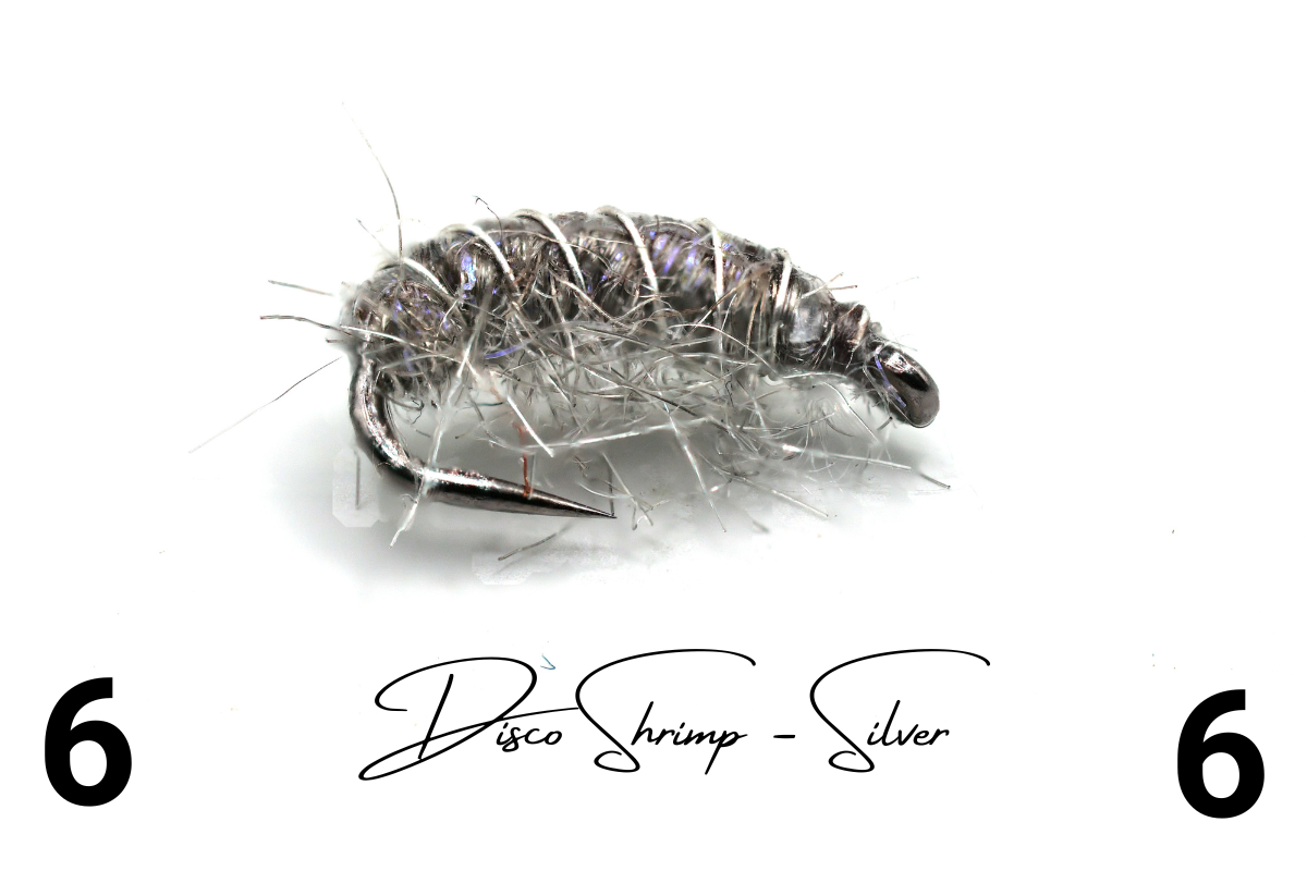 The Silver Disco Shrimp