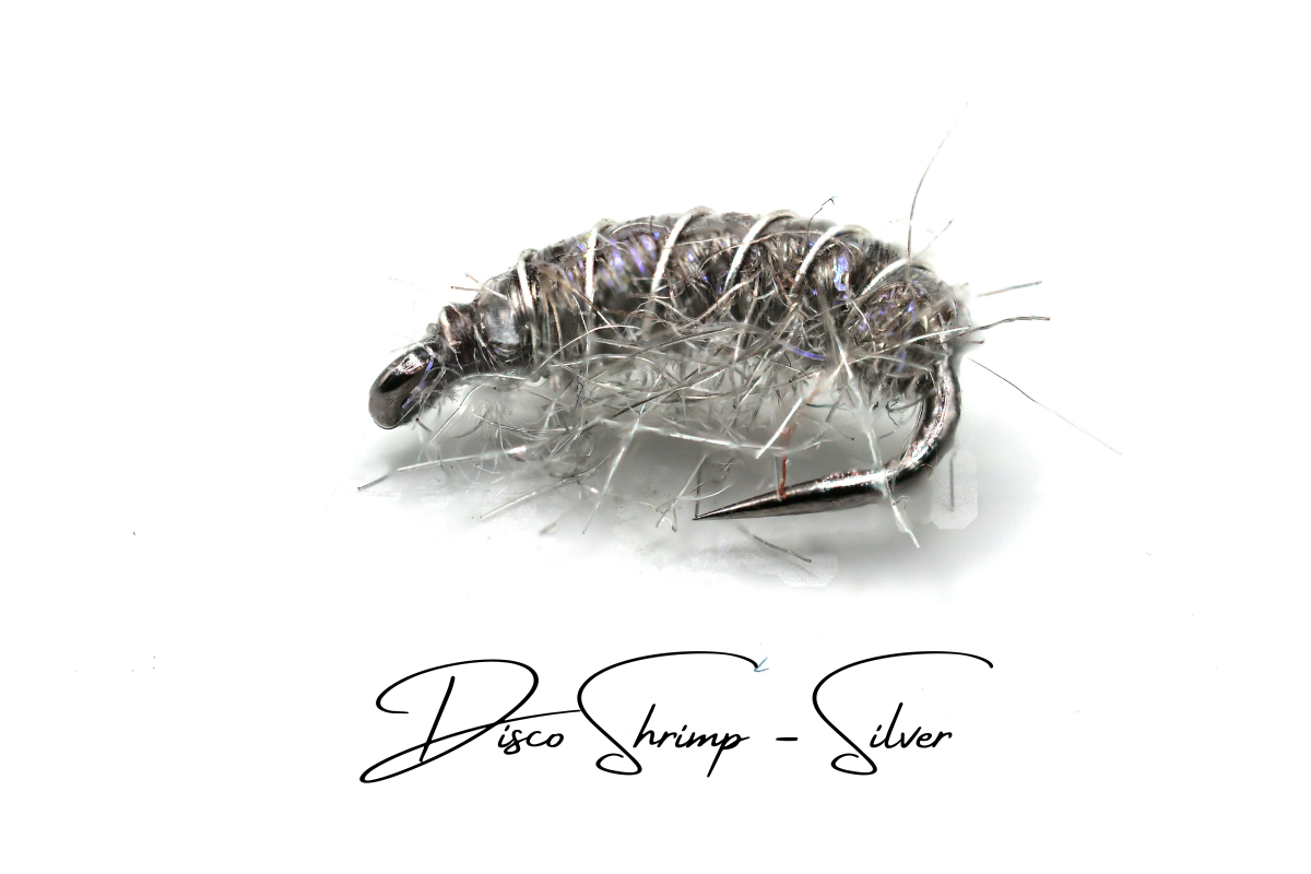 The Silver Disco Shrimp