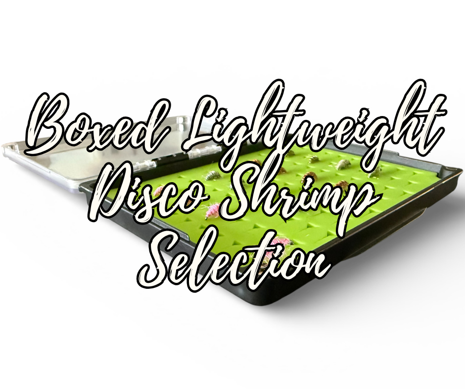 The Lightweight Disco Shrimp Selection