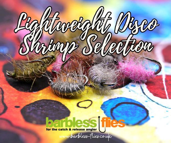 The Lightweight Disco Shrimp Selection