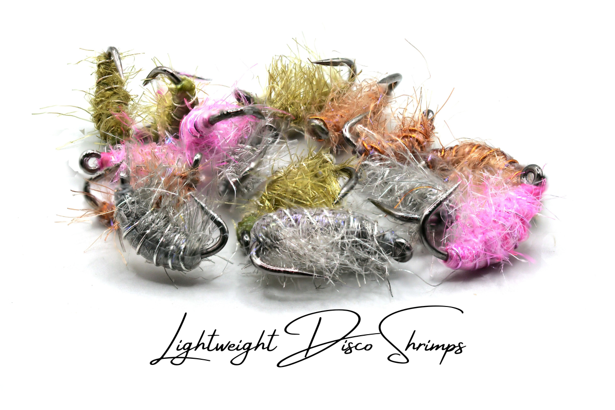 The Lightweight Disco Shrimp Selection