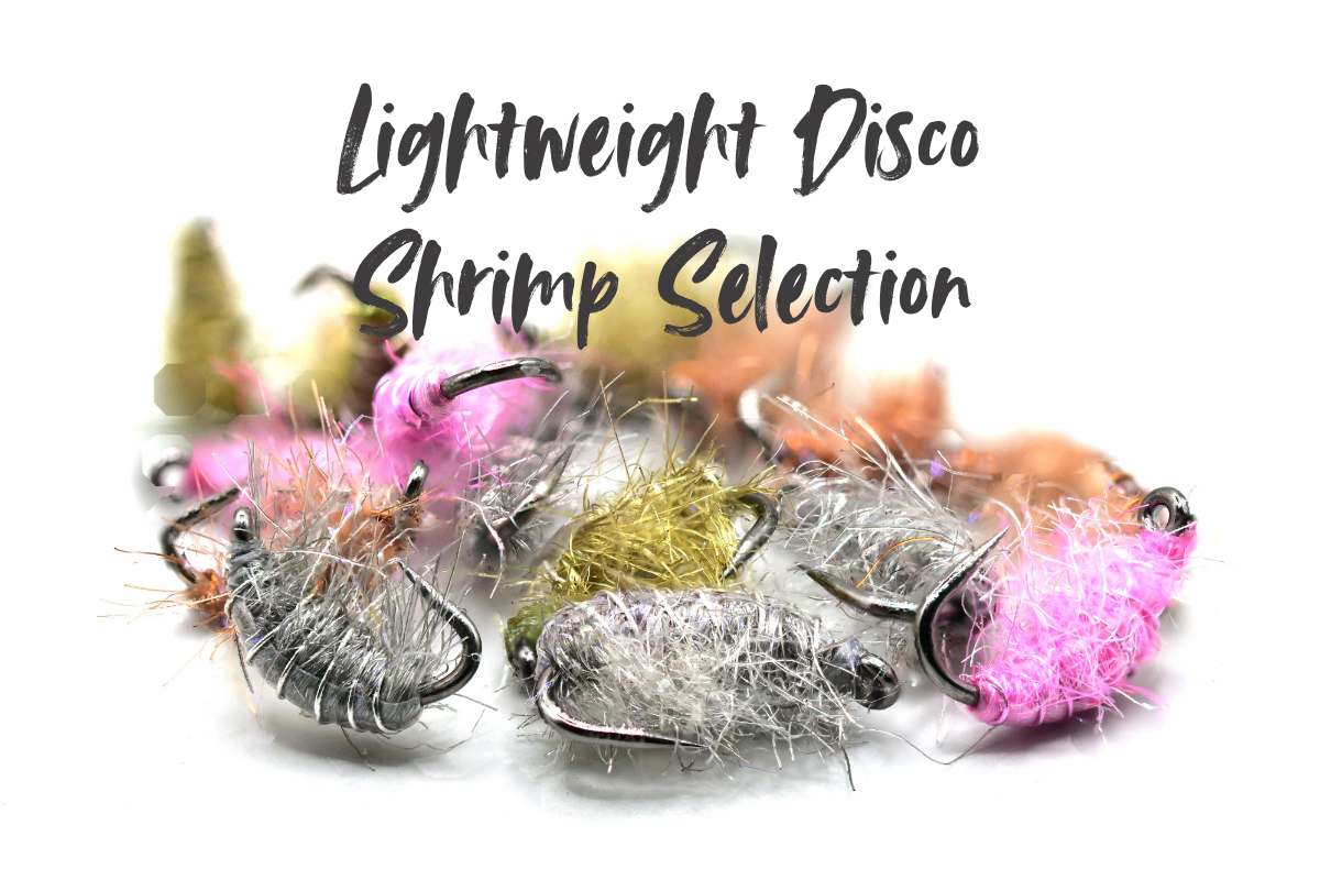 The Lightweight Disco Shrimp Selection