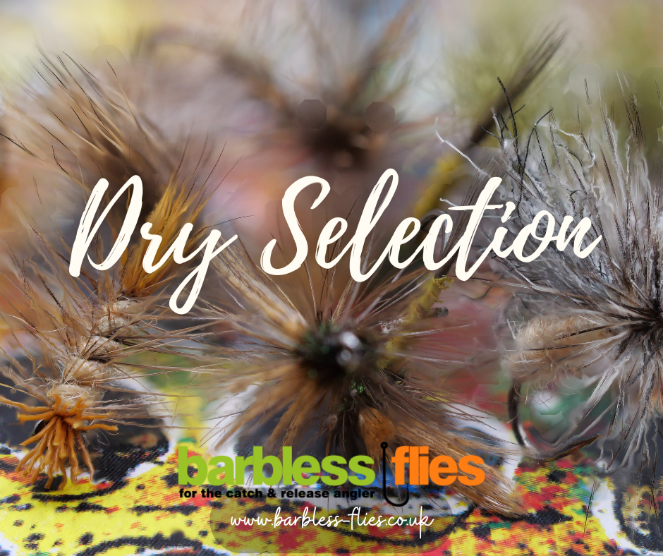 The Dry Selection - NEW for 2025