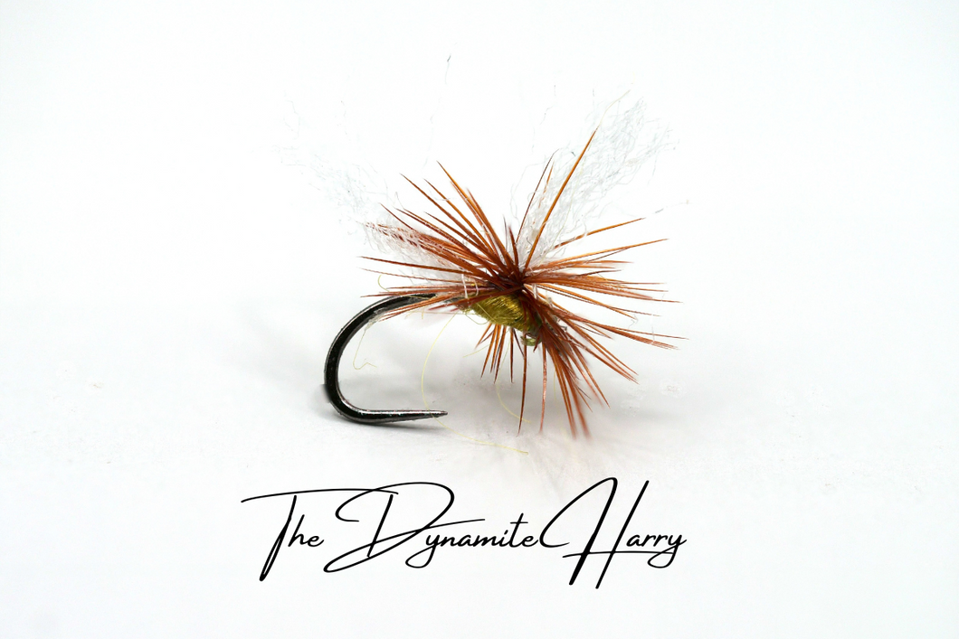 The Dynamite Harry