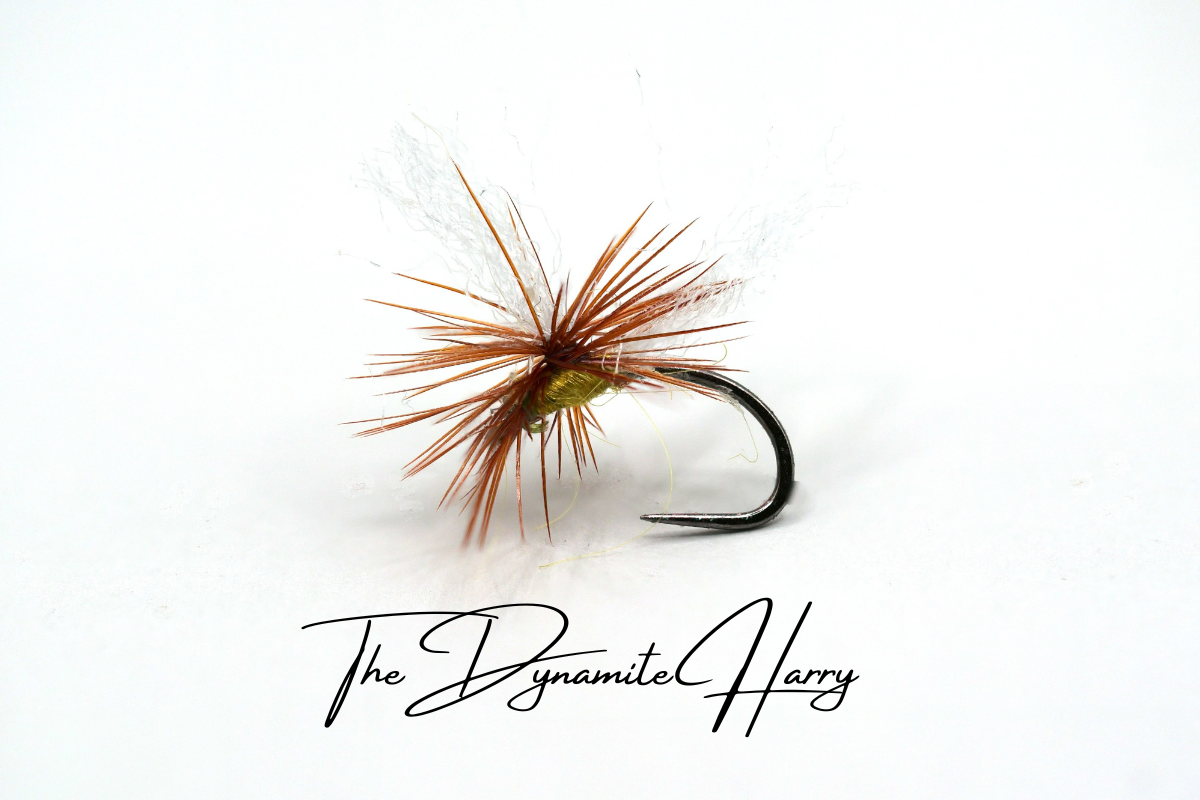 The Dynamite Harry
