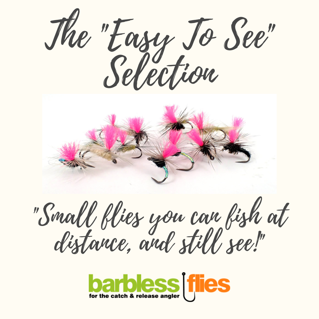 'Easy To See' Selection