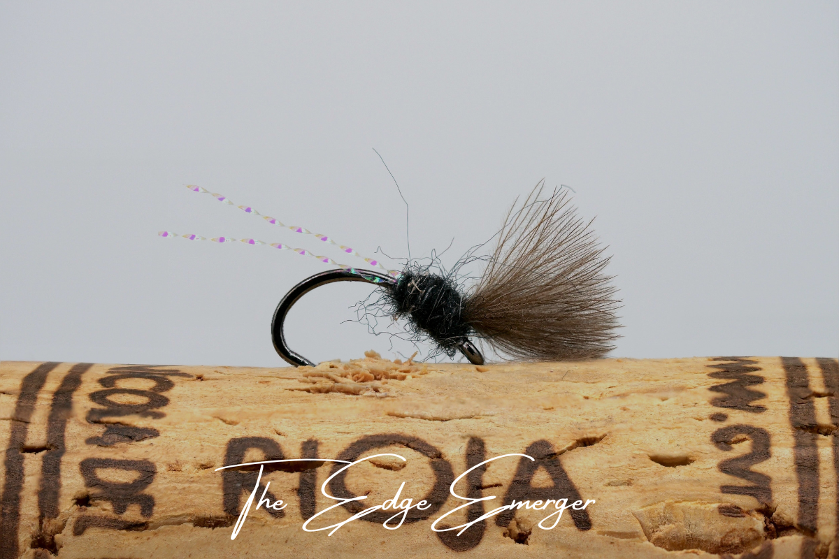 The EDGE Emerger Selection