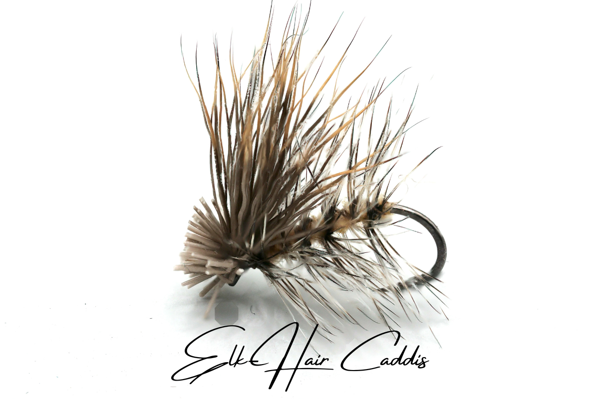 Elk Hair Caddis