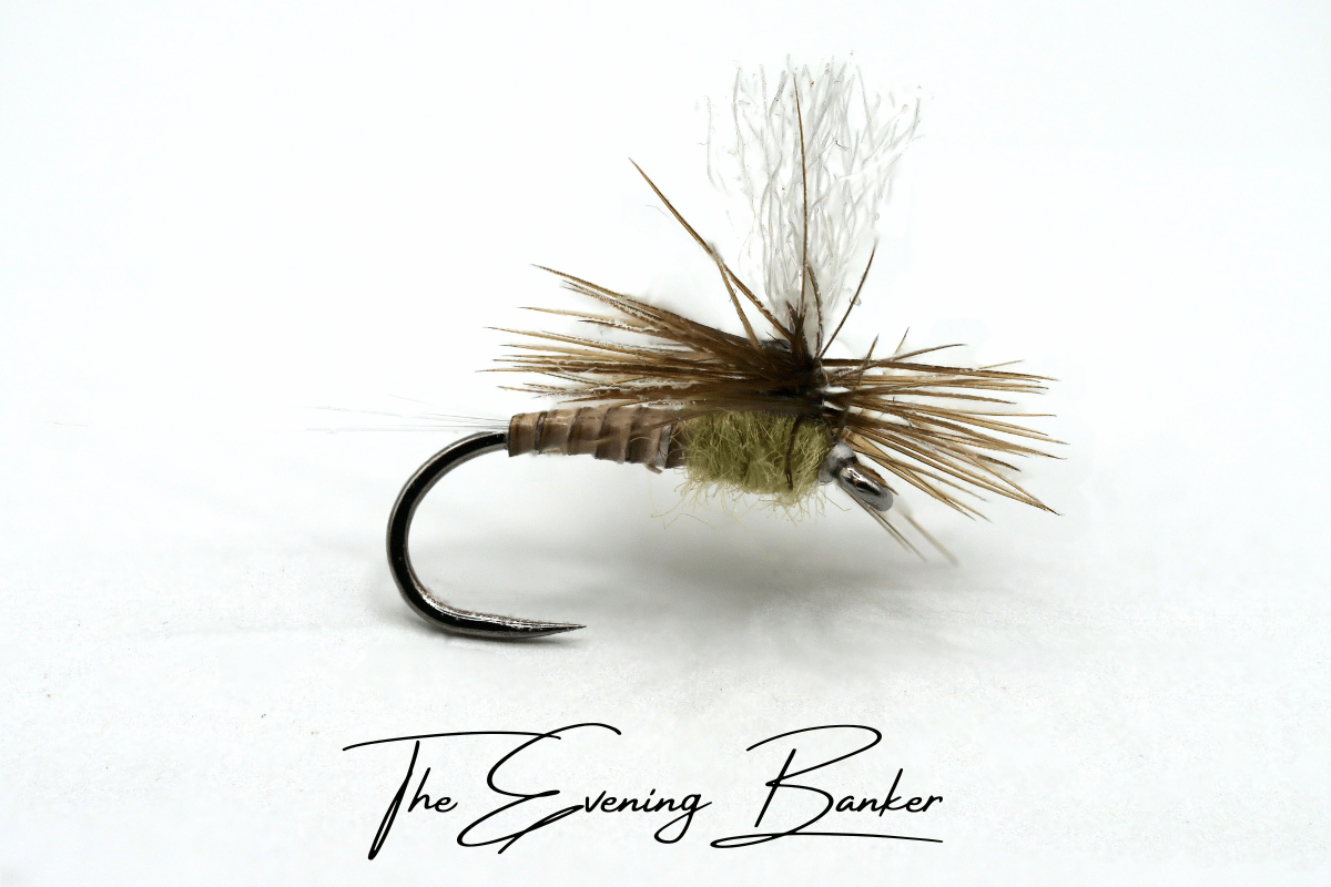 The Evening Banker