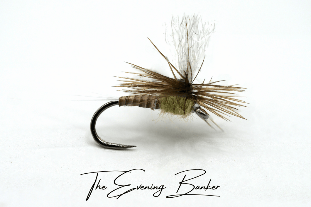 The Evening Banker