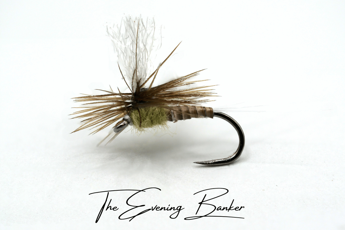 The Evening Banker