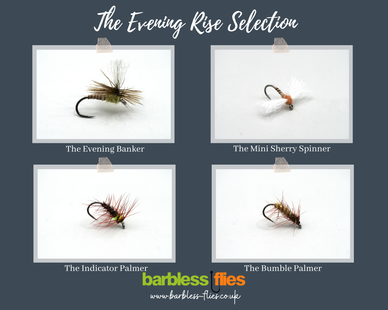The Evening Rise Selection - NEW for 2025