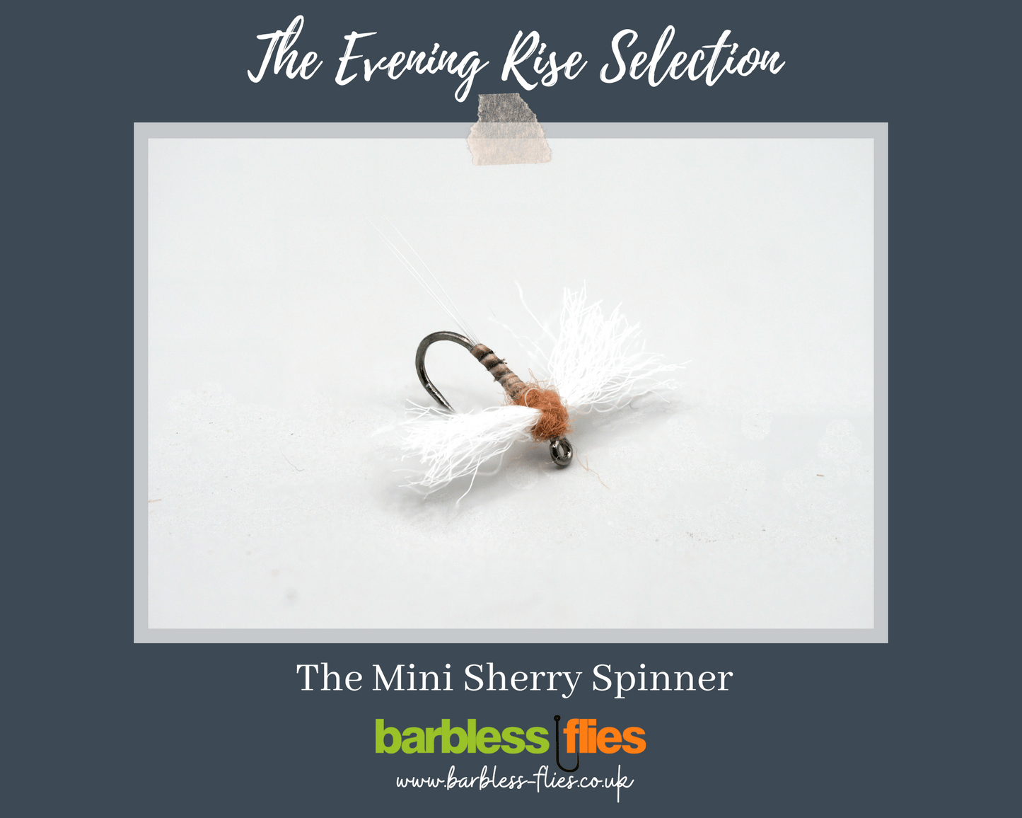 The Evening Rise Selection - NEW for 2025