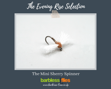 Load image into Gallery viewer, The Evening Rise Selection - NEW for 2025
