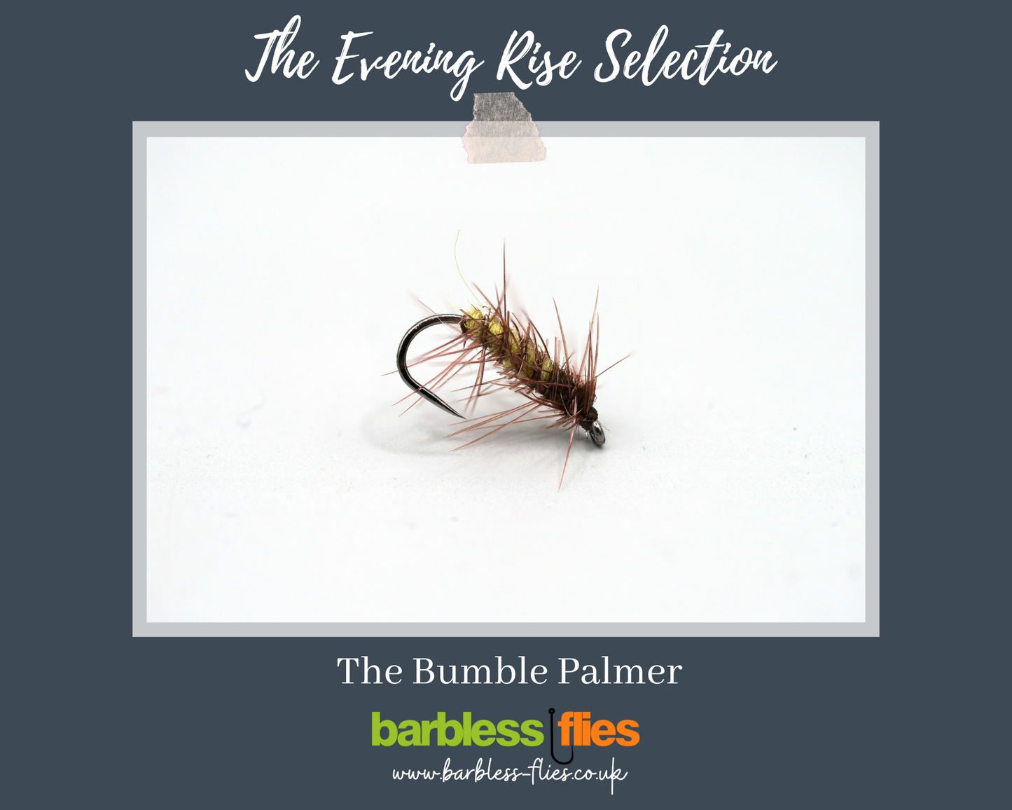 The Evening Rise Selection - NEW for 2025