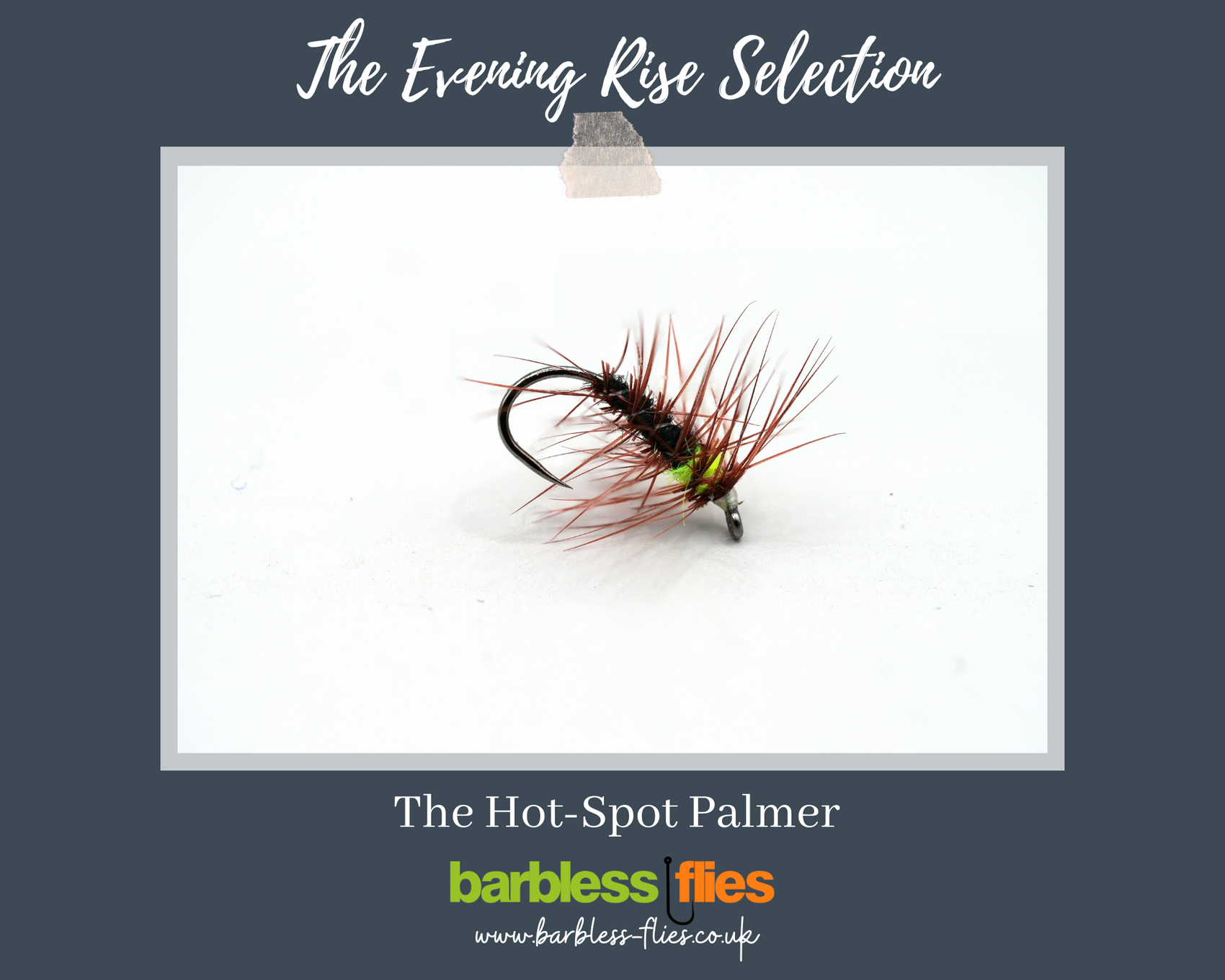 The Evening Rise Selection - NEW for 2025