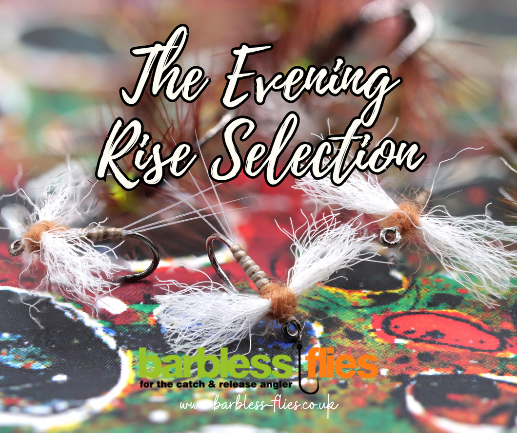 The Evening Rise Selection - NEW for 2025