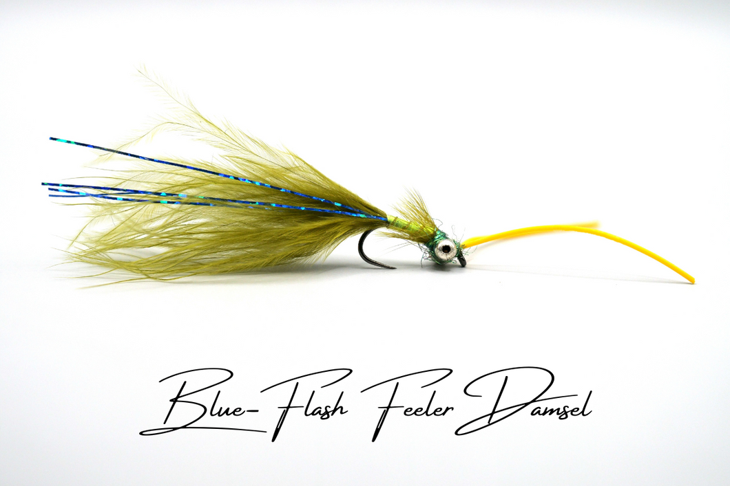 Blue Flash 'Feeler' Damsel