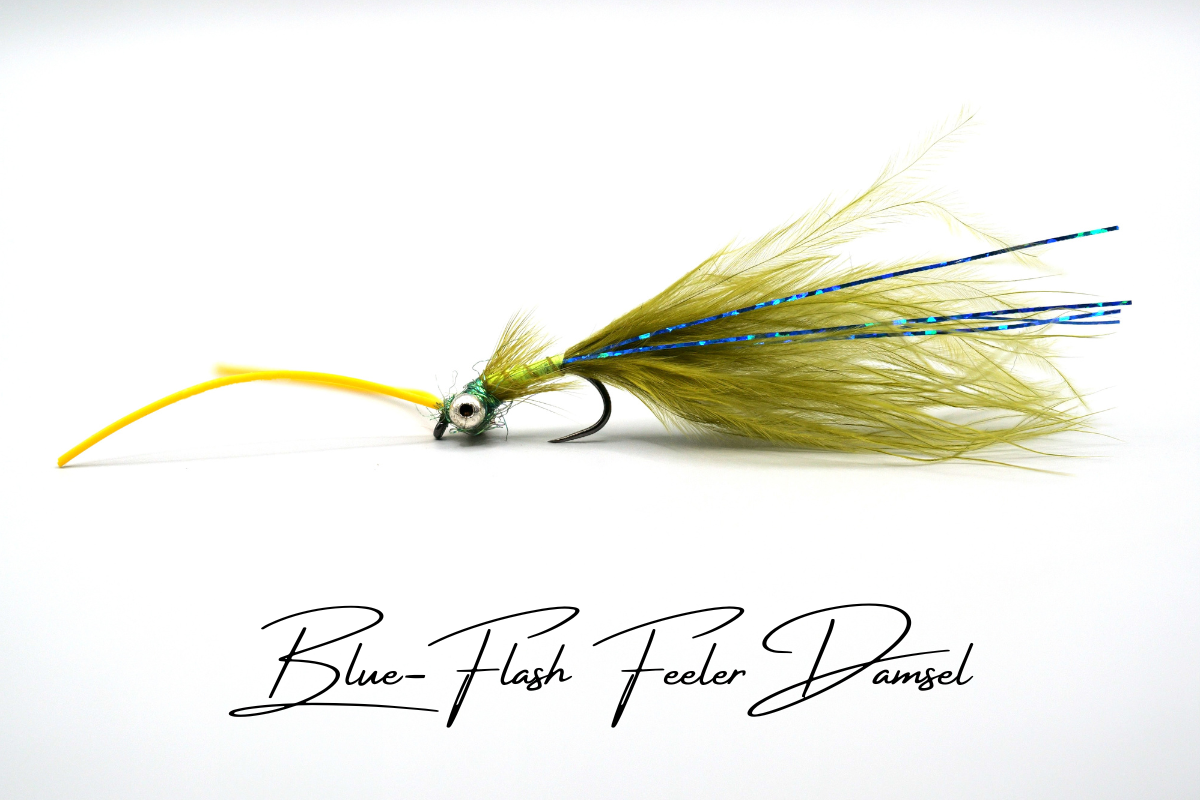 Blue Flash 'Feeler' Damsel