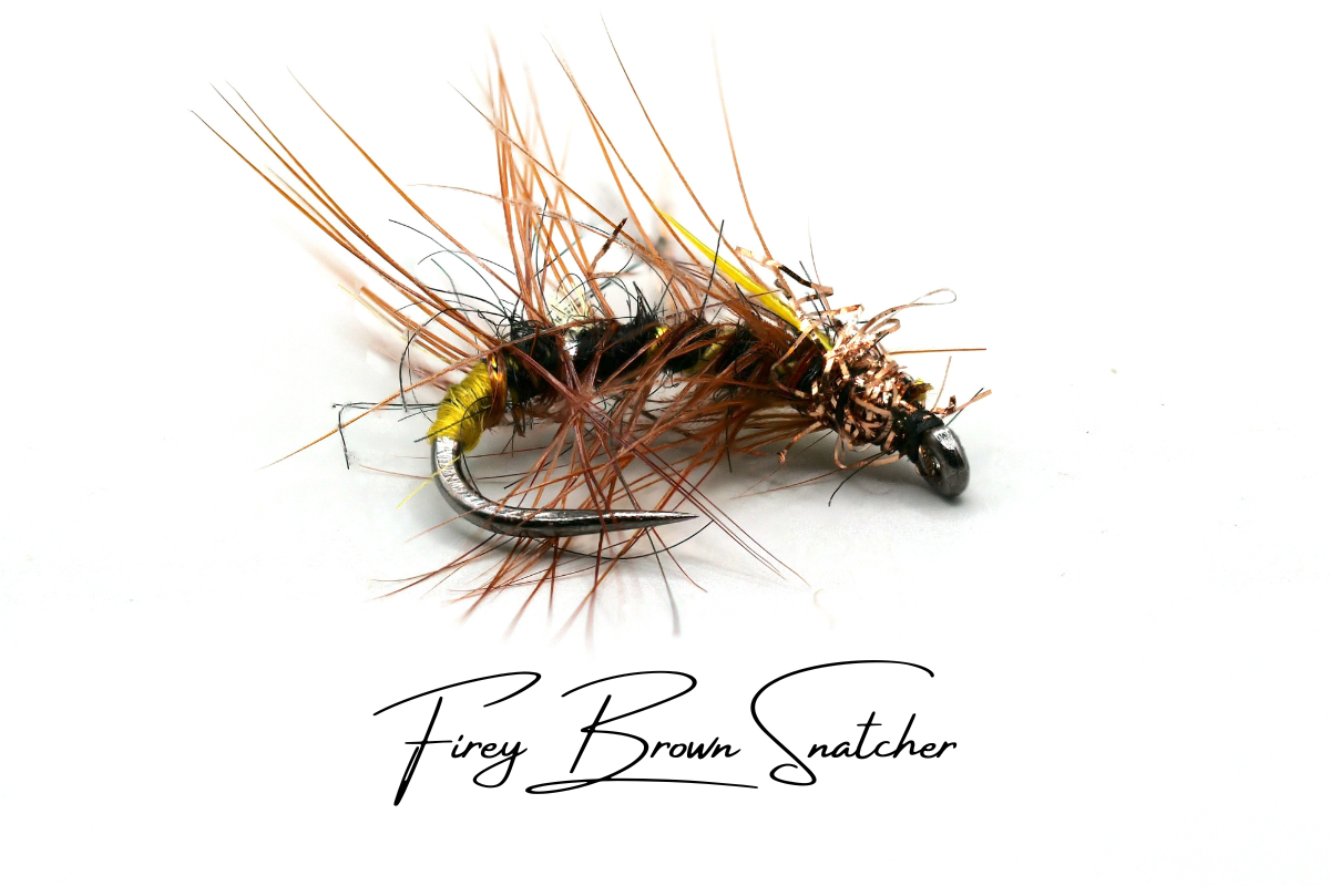 Firey Brown Snatcher