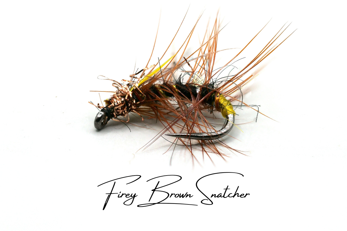 Firey Brown Snatcher