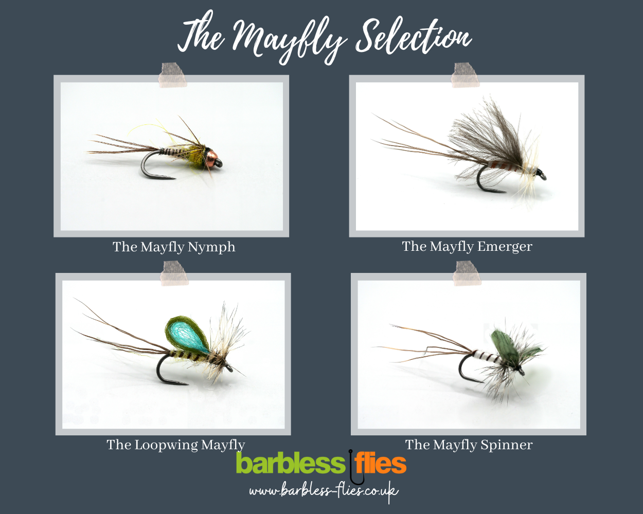 Mayfly (Full Lifecycle) Selection - Updated for 2025