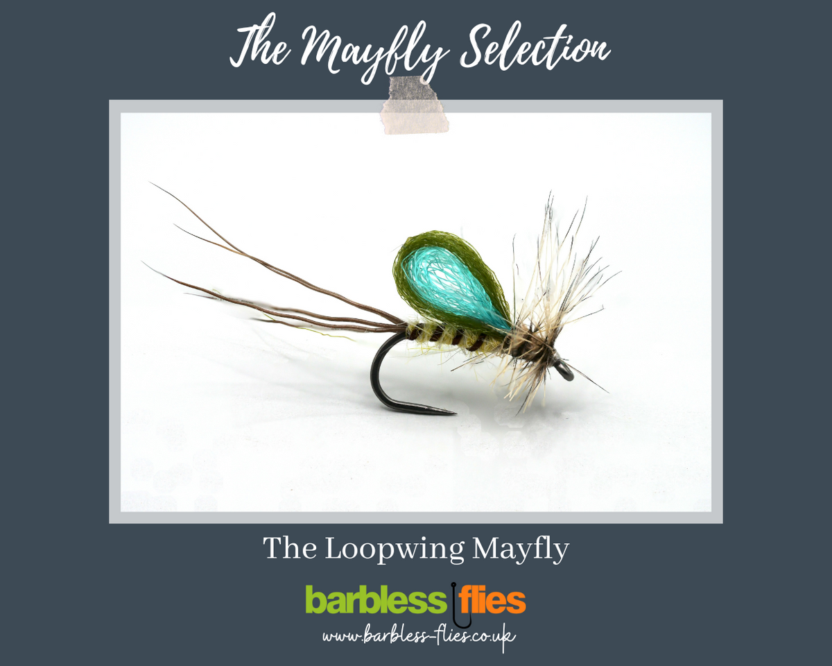 Mayfly Pin Mayfly Selection from Barbless Flies