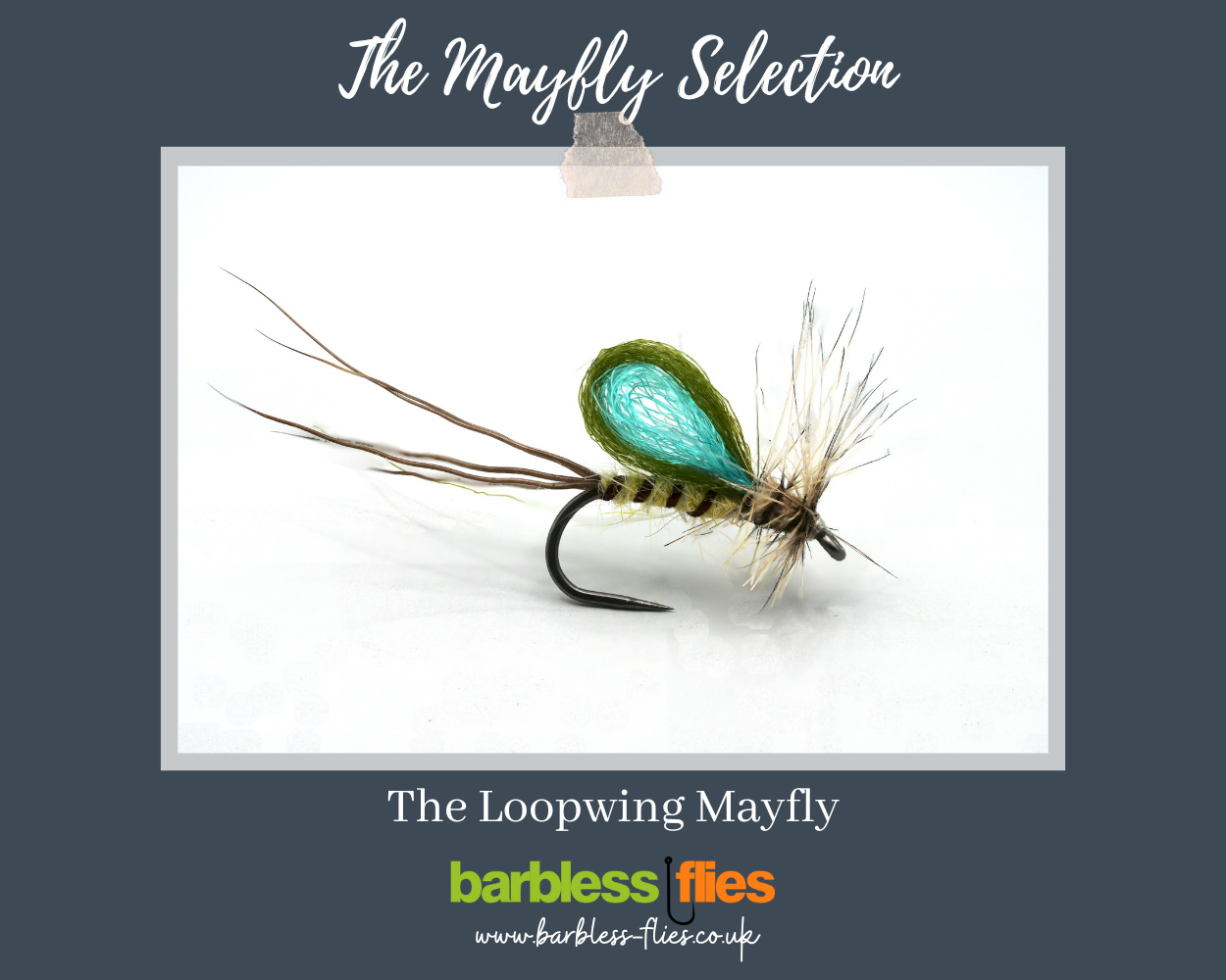 Mayfly (Full Lifecycle) Selection - Updated for 2025