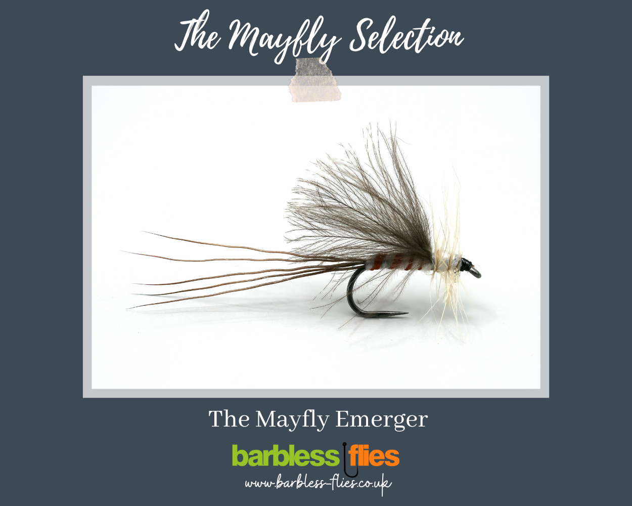 Mayfly (Full Lifecycle) Selection - Updated for 2025
