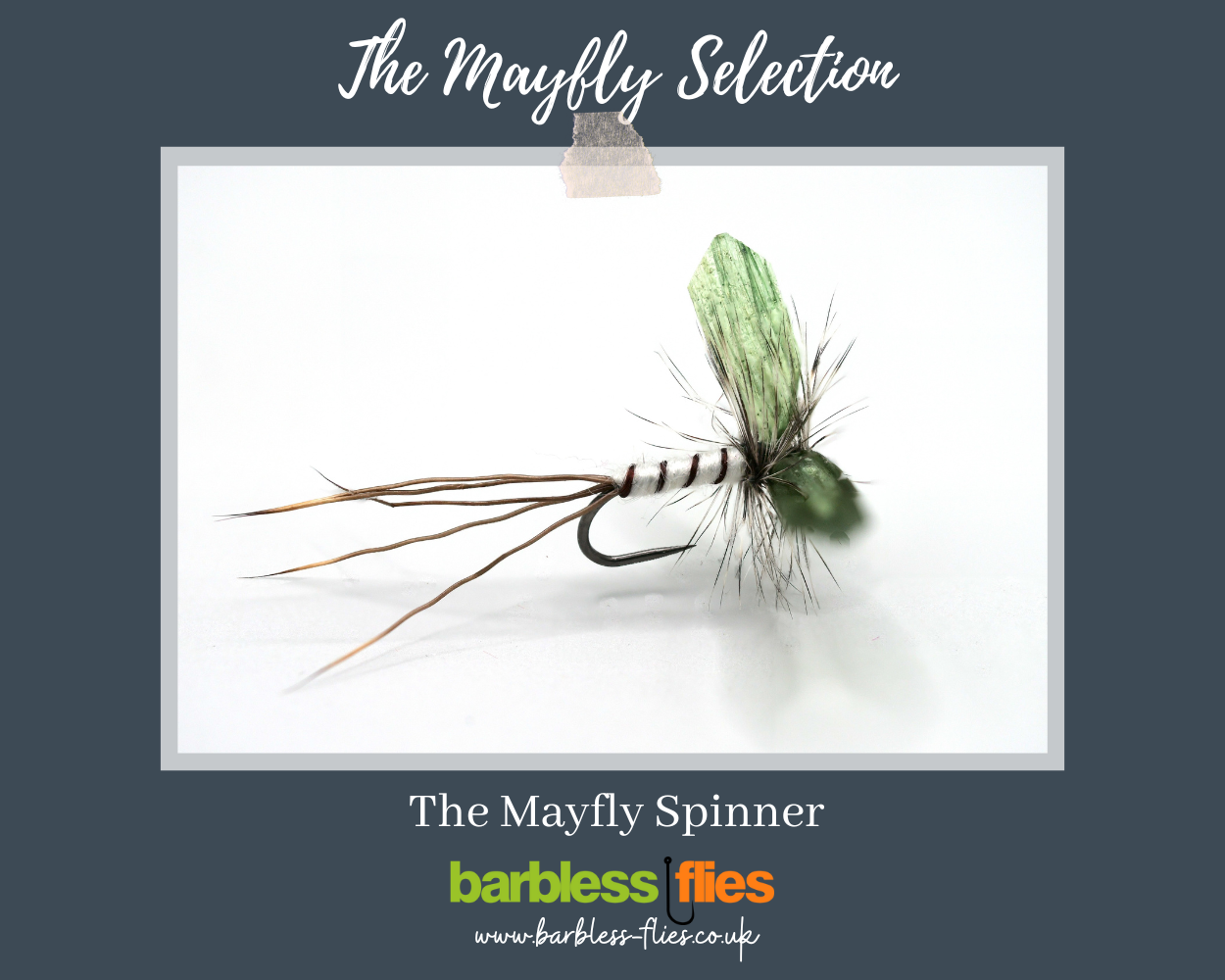 Mayfly (Full Lifecycle) Selection - Updated for 2025