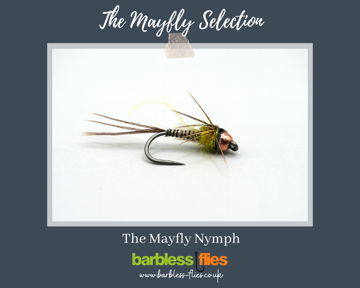Mayfly (Full Lifecycle) Selection - Updated for 2025