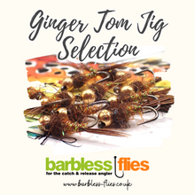 Load image into Gallery viewer, Ginger Tom v2.0 Tungsten Jig Selection
