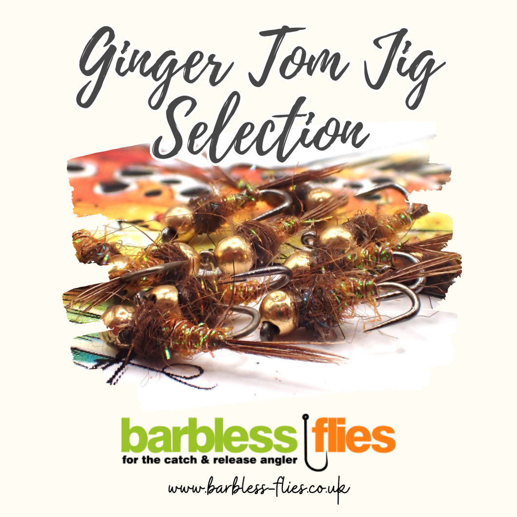 Ginger Tom v2.0 Tungsten Jig Selection