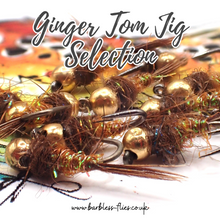 Load image into Gallery viewer, Ginger Tom v2.0 Tungsten Jig Selection
