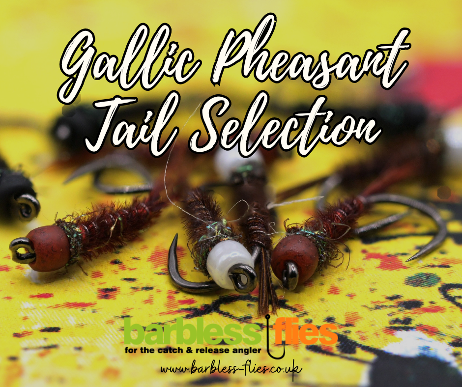 Stan's Gallic Pheasant Tail Nymph Selection