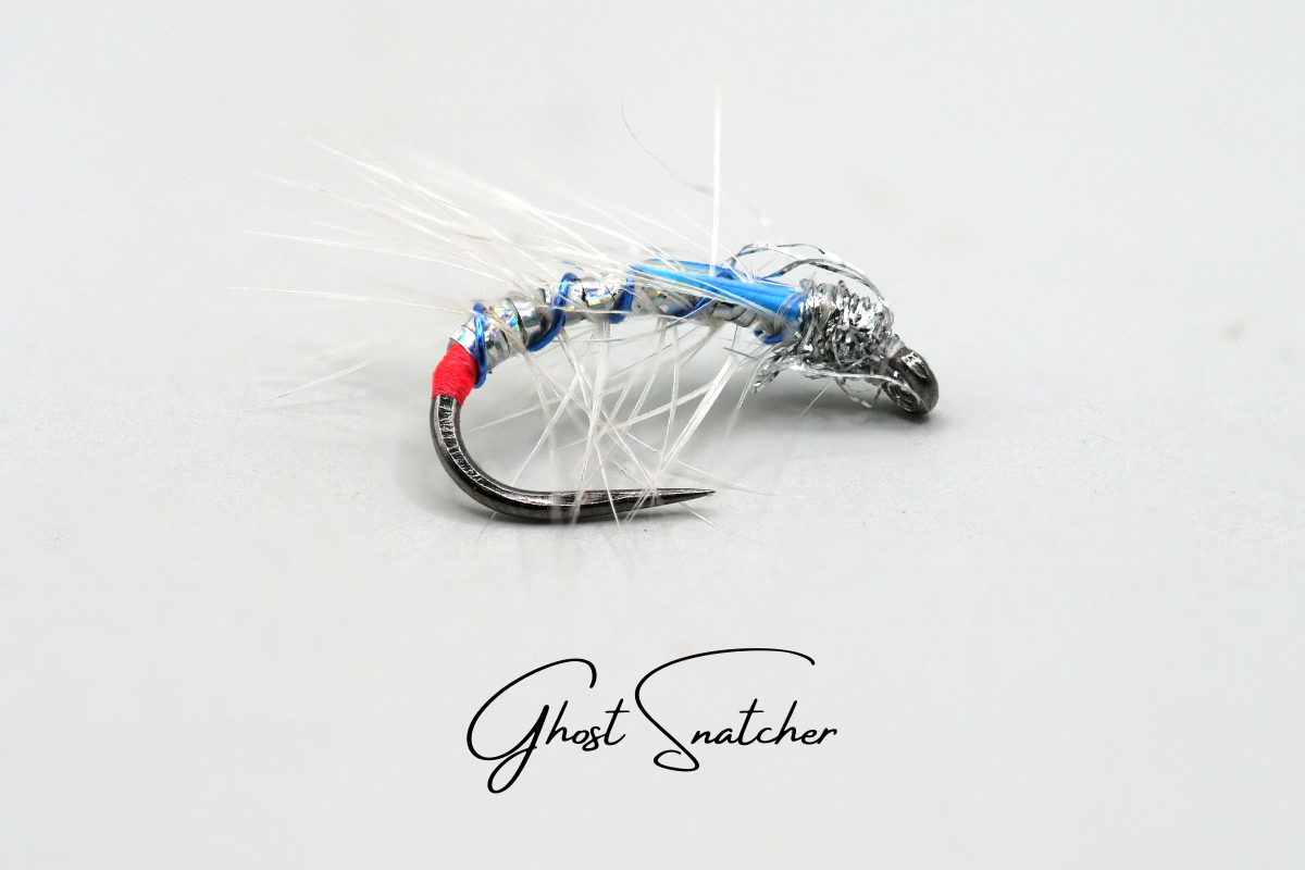 Ghost Snatcher