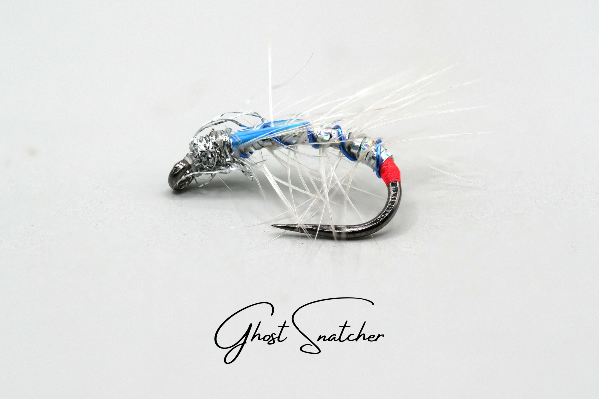Ghost Snatcher