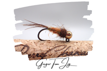 Load image into Gallery viewer, Ginger Tom v2.0 Tungsten Jig
