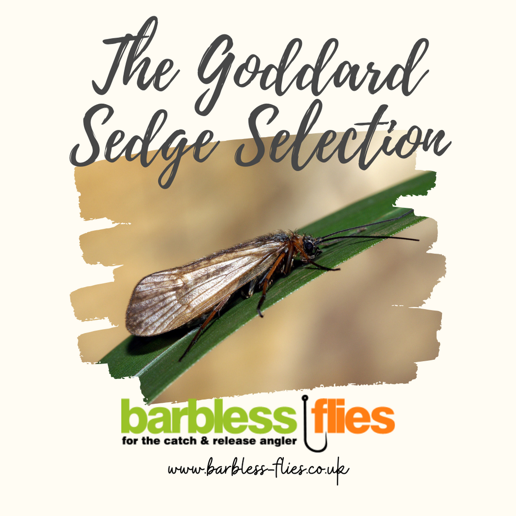 The Goddard Sedge Selection