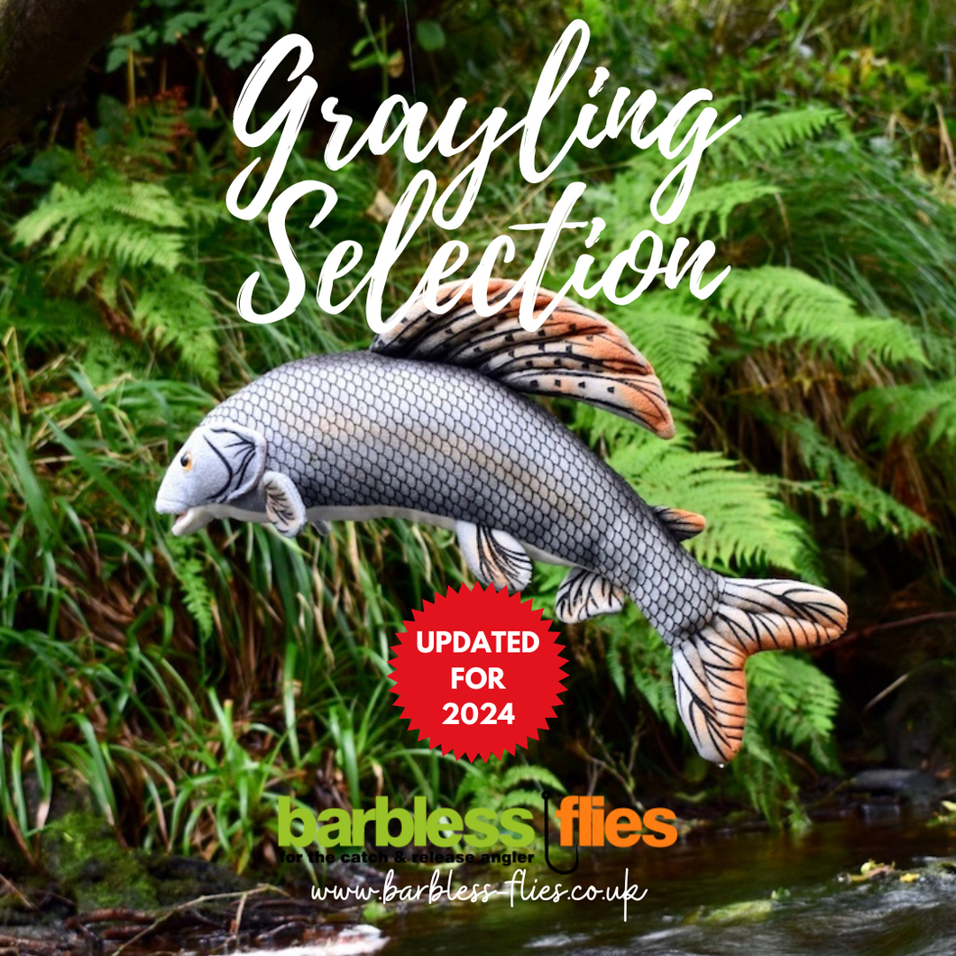Grayling Selection - Updated for 2024