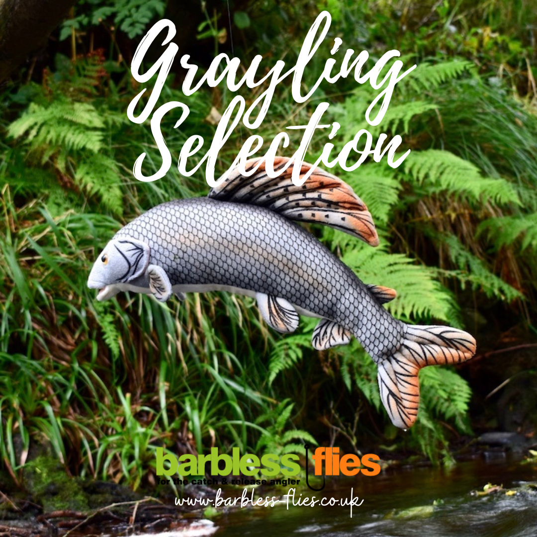 The Grayling Selection - Updated for 2025/26