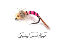 Load image into Gallery viewer, Grayling Special Tungsten Nymph
