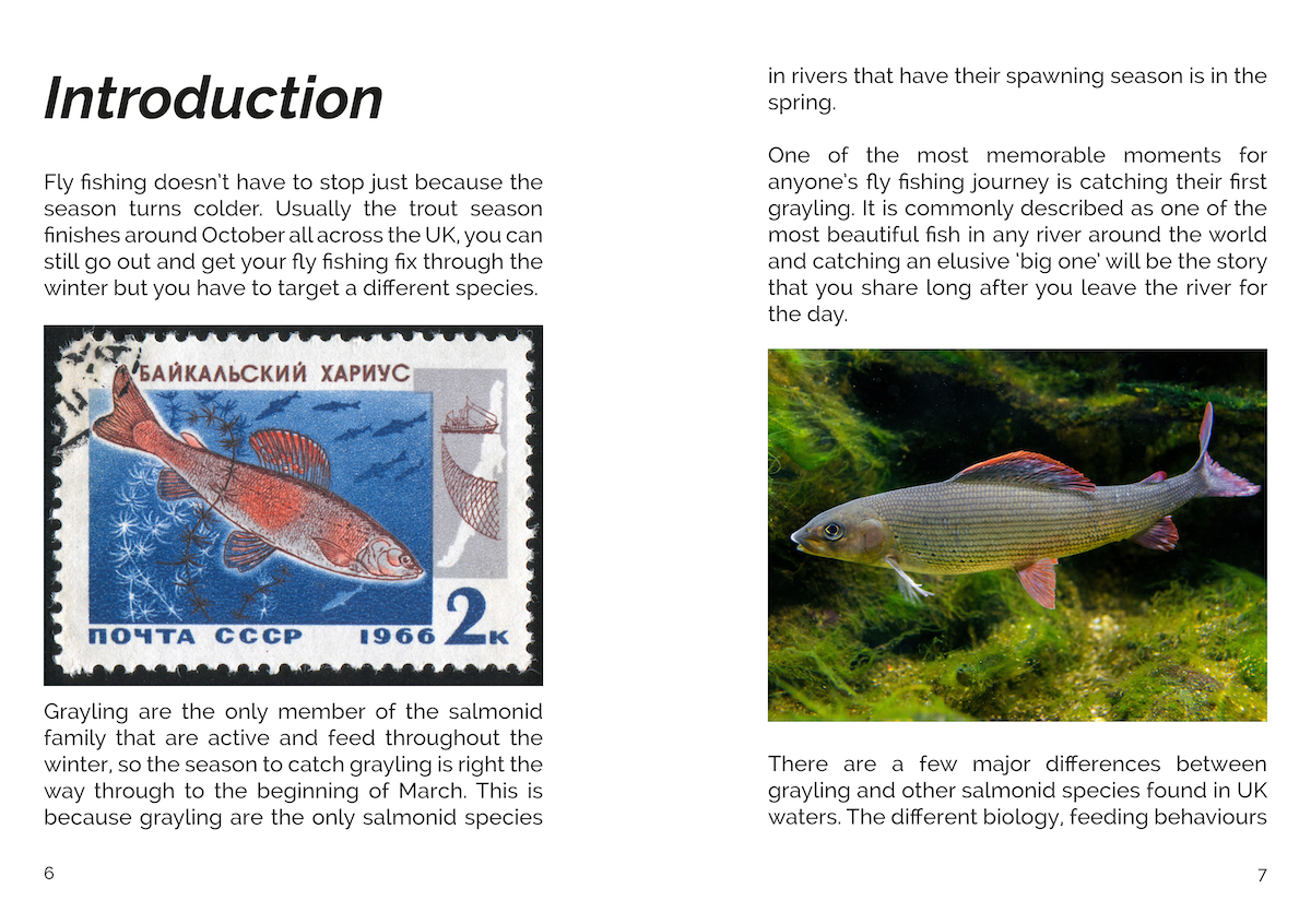 FLY Series: Fishing For Grayling