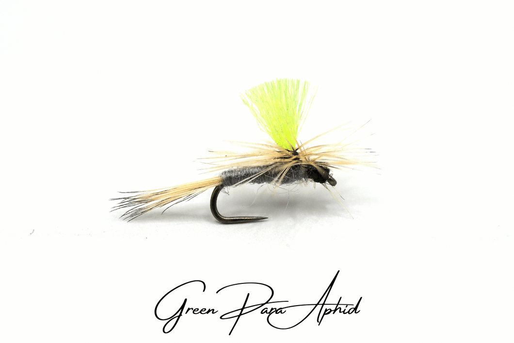 Green Para Aphid