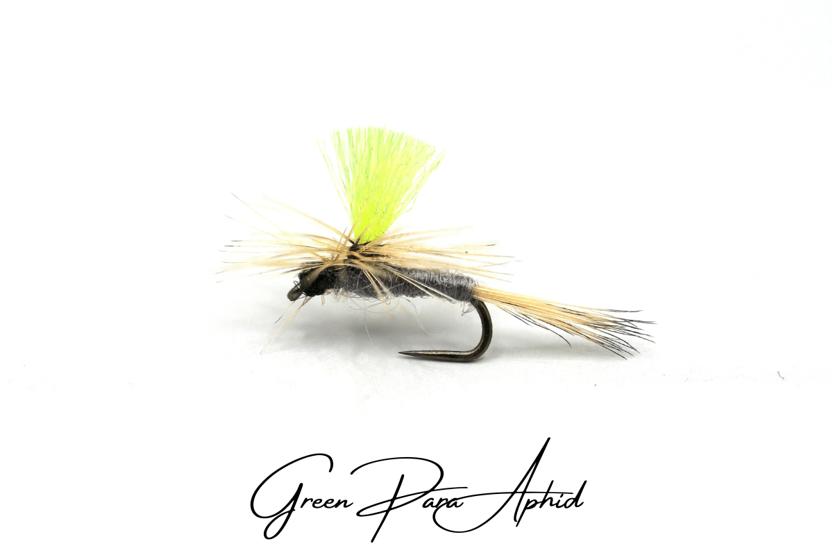 Green Para Aphid