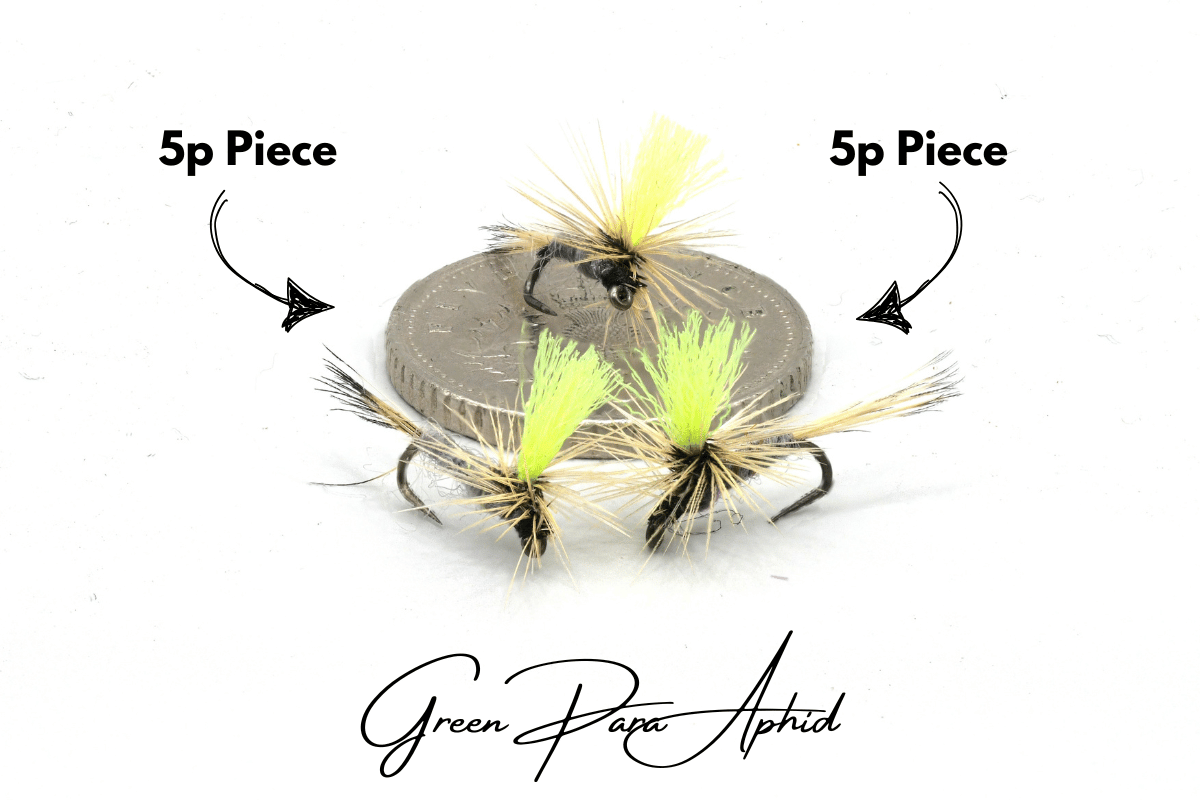 Green Para Aphid