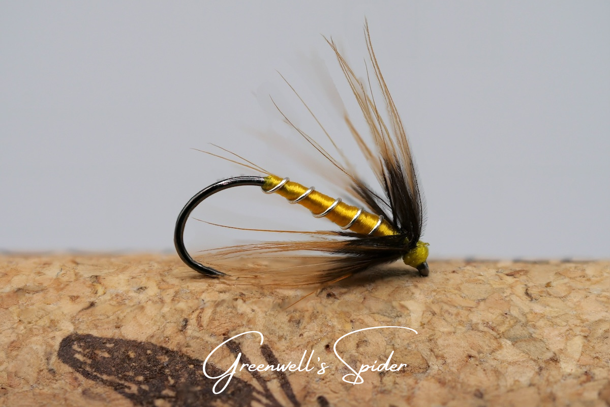 Greenwell's Spider