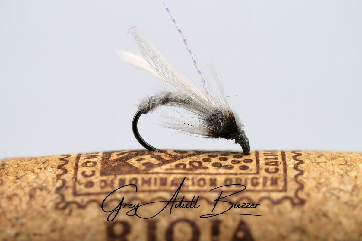 The Adult & Emerging Buzzer Selection
