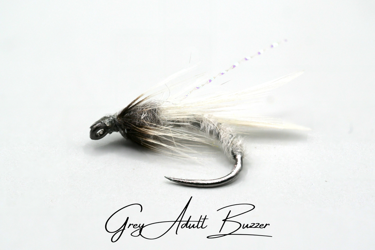 The Grey Adult Buzzer